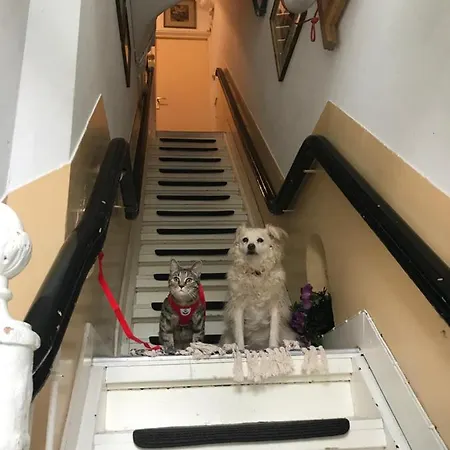 Six Apartment *