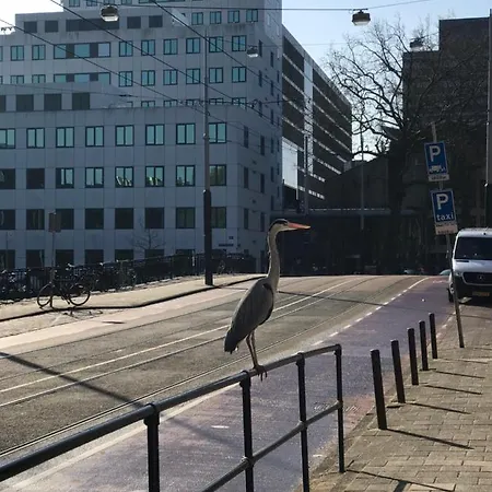 Six * Amsterdam