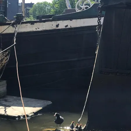 Six * Amsterdam